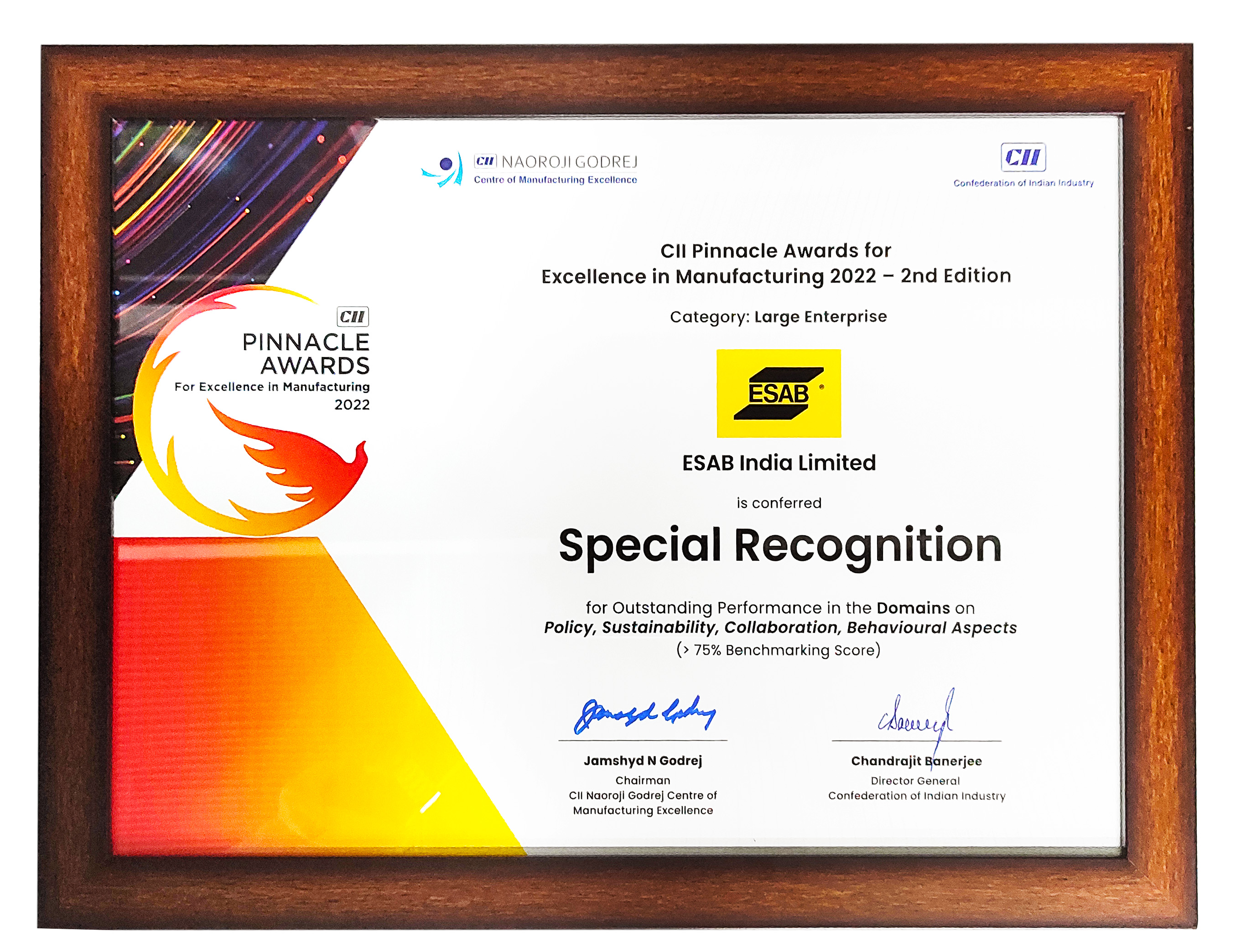 CII Pinnacle Award